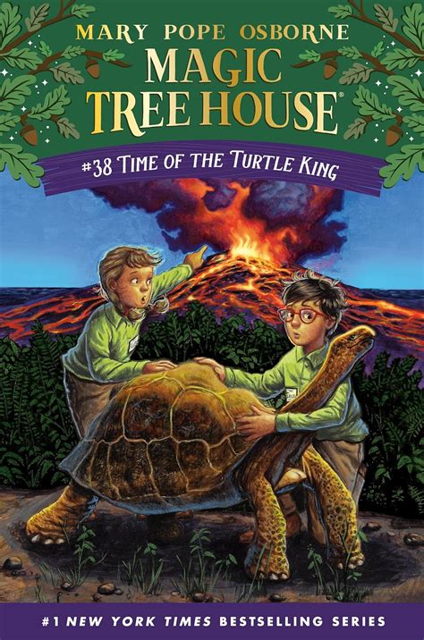 Magical treehouse time of the turtle master